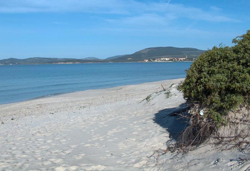 Appartamento A Pochi Passi Dalla Spiaggia Alghero Exterior foto