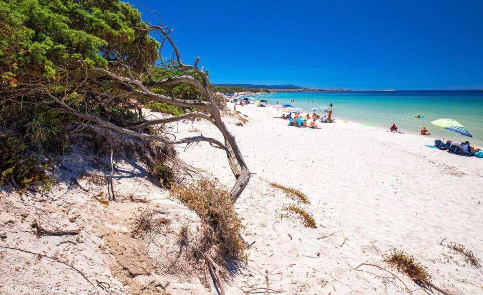 Appartamento A Pochi Passi Dalla Spiaggia Alghero Exterior foto